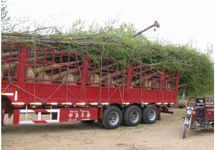 畅通无阻上高速